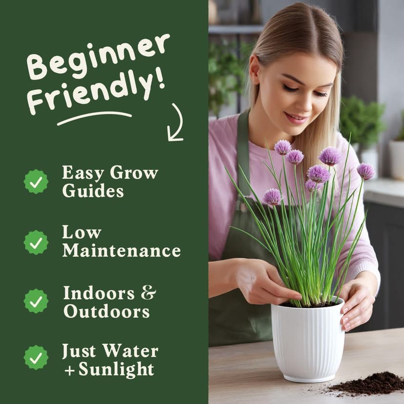 Organic Chive Seeds for Planting Indoor and Outdoor, Non-GMO and USDA Certified Herb Seed Packet for Hydroponic Garden Indoor or Planting Outdoors (Common Chives)