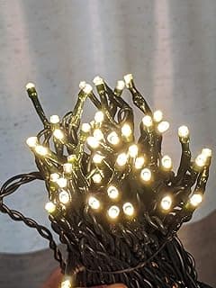 Always ON 33ft True Parallel 100-LED Outdoor Waterproof String Lights - Works with 12V Low Voltage Landscape Lighting Systems (Warm White1)
