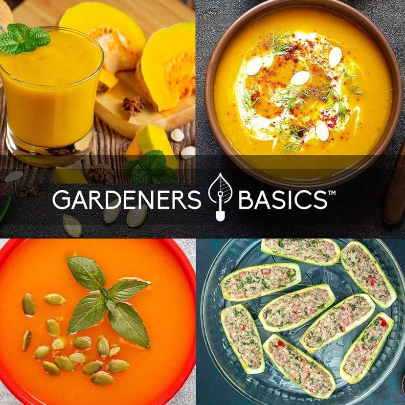 Gardeners Basics, Squash Seeds for Planting 5 Individual Packets - Zucchini, Delicata, Butternut, Spaghetti and Golden Crookneck for Your Non GMO Heirloom Vegetable Garden