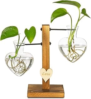 Kingbuy Hydroponic Glass Vase Vintage Desktop Plant Terrarium Planter Bulb Vase Water Planting Propagation Vase Planters Hydroponics Plants with Retro Wooden Stand Home Garden. (E（2 Heart Vase）)