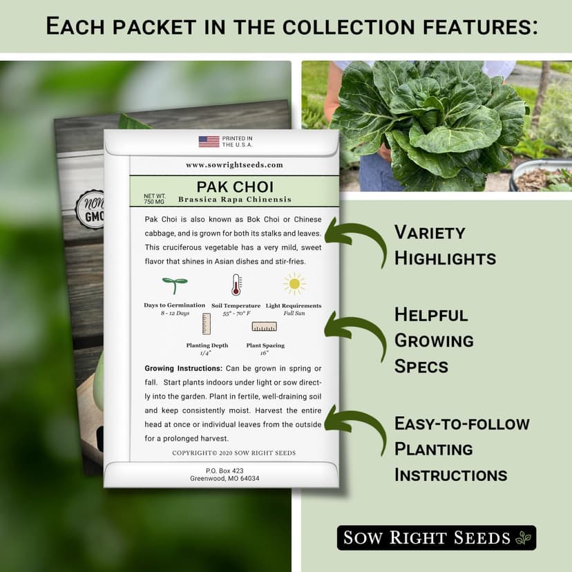 Sow Right Seeds - Hydroponic Vegetable Seeds for Planting - Lettuce, Kale, Arugula, Pak Choi, Watercress & Cherry Tomato Seeds for Planting and Growing Hydroponics - Perfect for Indoor Growing System