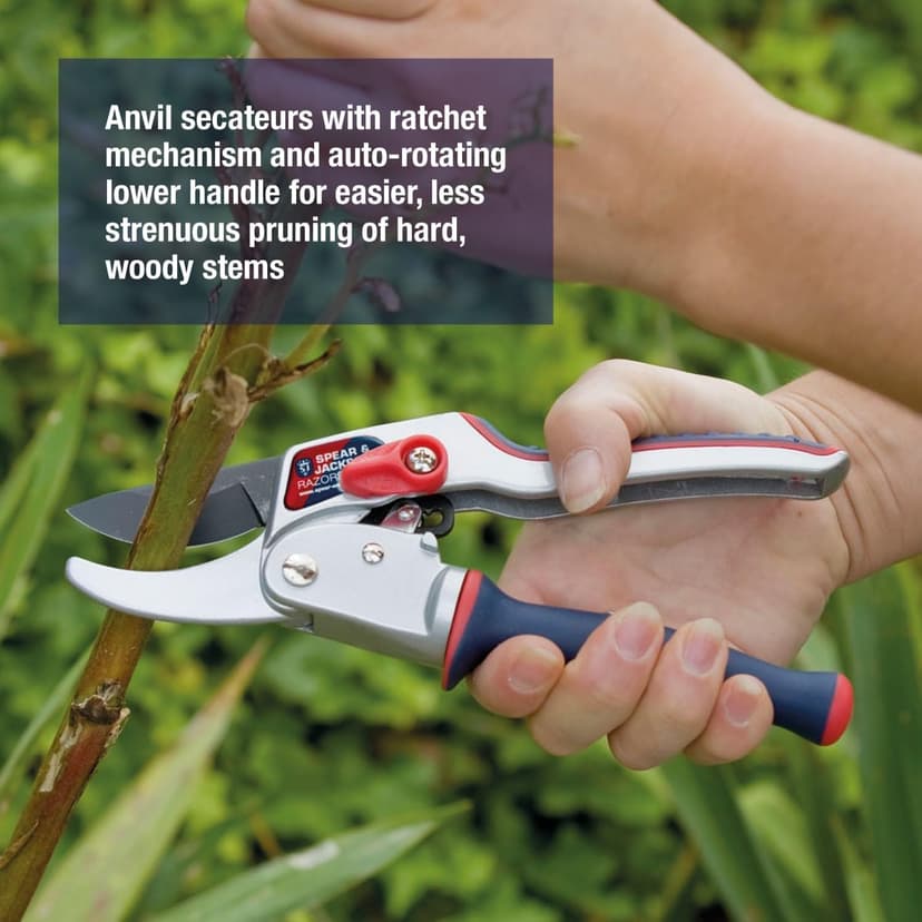 Spear & Jackson 6458RS Razorsharp Ratchet Anvil Pruners / Pruning Shears with Rotating Ergonomic Handle, Blue, 21.5 x 6.5 x 2.5 cm