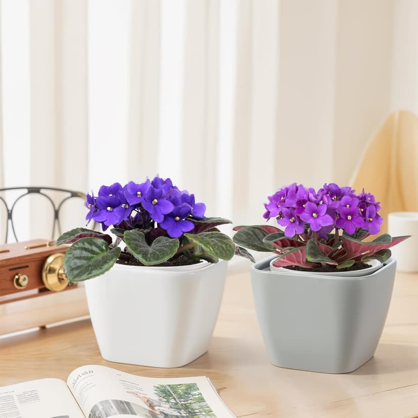 African Violet Pot Self Watering Ceramic Planter Pots, Easy Self Watering Planter for Busy Plant Lovers, Automatically Absorb Appropriate Amount of Water - Plants Not Included