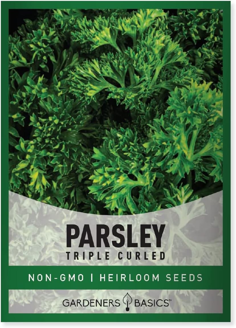 Gardeners Basics, Curled Parsley Seeds for Planting Indoors and Outdoors Heirloom, Open-Pollinated, Non-GMO Curly Herb Variety- Great for Home Gardens and More