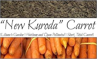 “New Kuroda” Carrot Seeds – Fast-Growing Carrot – Harvest in 75 Days | Daucus Carota VAR. Sativus | Never GMO, Always Heirloom and Open-Pollinated | USA Grown Seeds by Liliana's Garden |