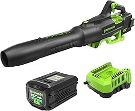 Greenworks 80V 700 CFM Cordless Leaf Blower - Commercial-Grade Power, 45-Min Rapid Charger for Wet Leaves & Heavy Debris (Includes 2.5Ah Battery)