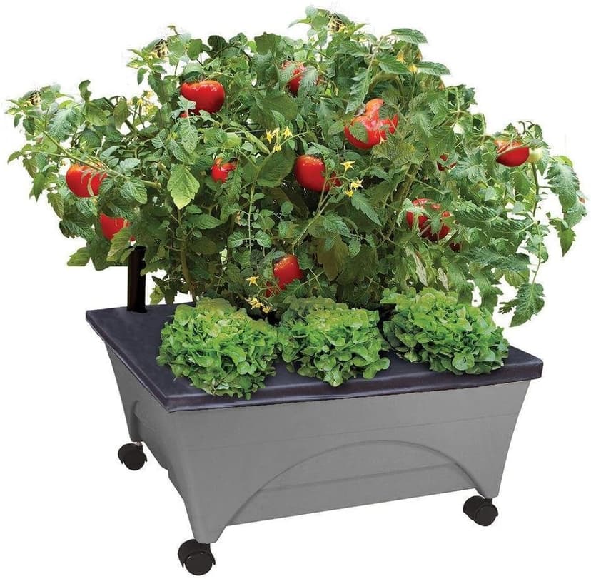 Emsco Group City Picker Raised Bed Grow Box – Self Watering and Improved Aeration – Mobile Unit with Casters - Slate