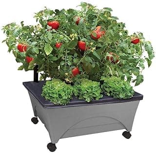 Emsco Group City Picker Raised Bed Grow Box – Self Watering and Improved Aeration – Mobile Unit with Casters - Slate