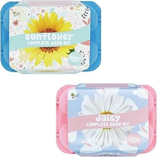 Buzzy Seeds Flower Starter Kit for Kids & Adults | 2-Pack Eco-Friendly Colorful Egg Cartons | Sunflower & Daisy Seeds | Guaranteed to Grow | Indoor Flower Grow Kit | Gardening Gift