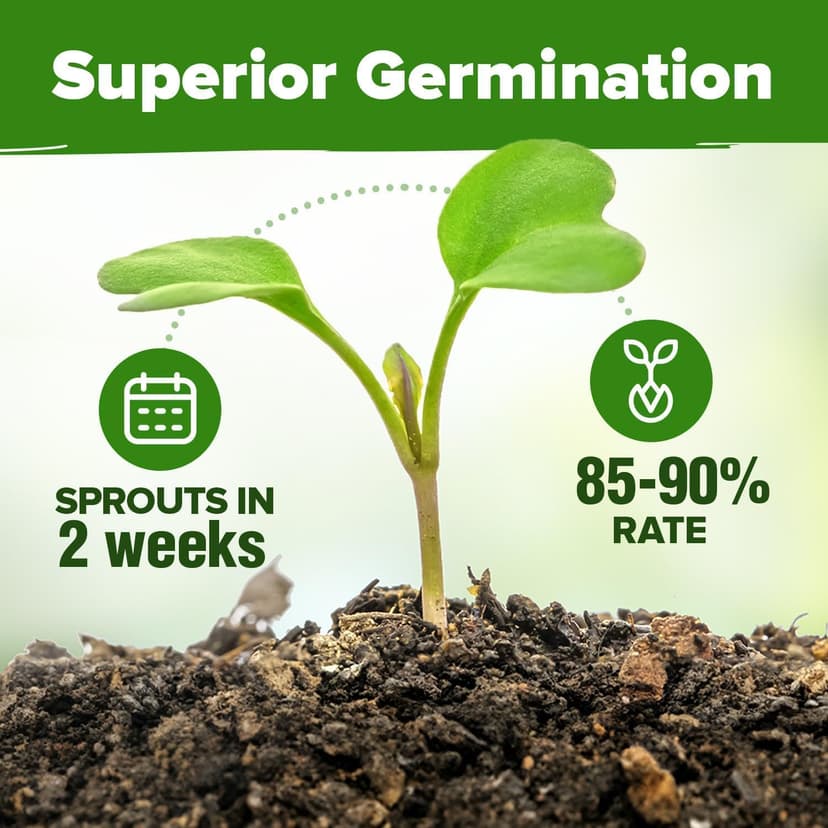 HOME GROWN 15 Culinary Herb Seeds 4,500+ Heirloom 𝗡𝗢𝗡-𝗚𝗠𝗢, 𝗨𝗦𝗔-𝗦𝗢𝗨𝗥𝗖𝗘𝗗 High Germination Rate, for Planting Indoor Hydroponic Outdoor, Gardening Gifts for Women Men, Mothers Day Gifts