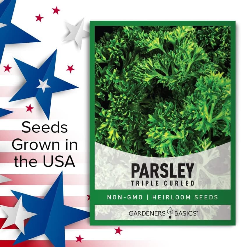 Gardeners Basics, Curled Parsley Seeds for Planting Indoors and Outdoors Heirloom, Open-Pollinated, Non-GMO Curly Herb Variety- Great for Home Gardens and More