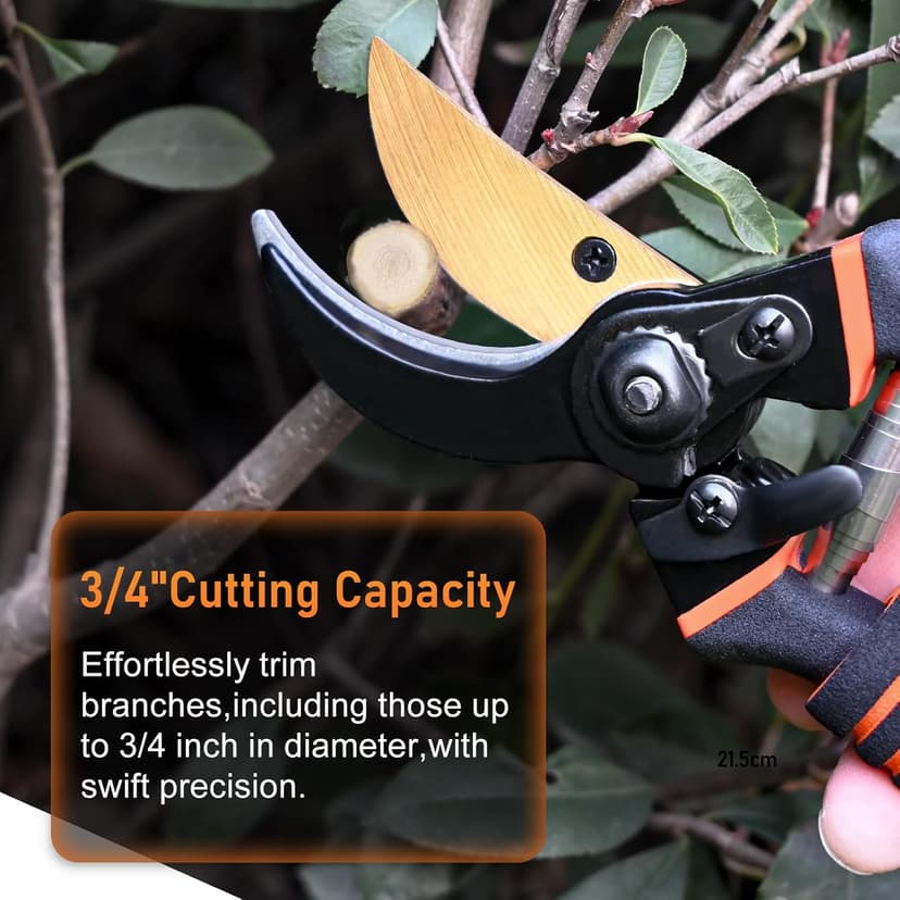 Pruning Shears for Gardening, 8.5" Premium SK5 Carbon Steel Garden Secateurs, Sharp Handheld Heavy Duty Garden Hedge Clippers Tools, Ultra Sharp Pruners with 3/4'' Cut Capacity Garden Scissors