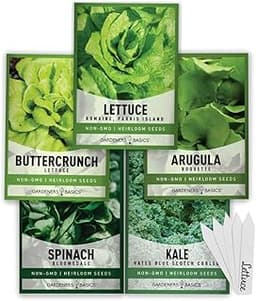 The 12 best kale seeds of 2025