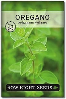 Sow Right Seeds - Oregano Seed for Planting - Non-GMO Heirloom- Instructions to Plant and Grow a Kitchen Herb Garden - Indoor or Outdoor - Gardening Gift - Produces Flavorful Leaves for Seasoning (1)