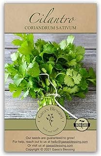 Gaea's Blessing Seeds - Cilantro Seeds - Leisure - Non-GMO Heirloom Seeds with Easy to Follow Instructions - 90% Germination Rate