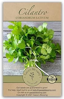 Gaea's Blessing Seeds - Cilantro Seeds - Leisure - Non-GMO Heirloom Seeds with Easy to Follow Instructions - 90% Germination Rate
