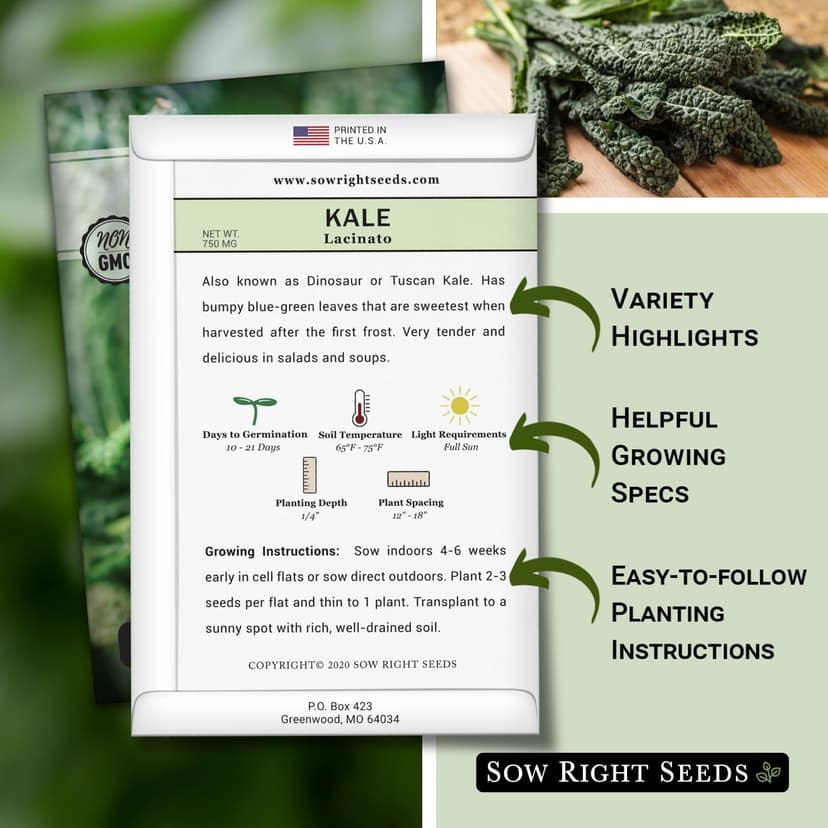 Sow Right Seeds - Lacinato Kale Seed for Planting - Non-GMO Heirloom Packet with Instructions to Plant a Home Vegetable Garden - Very Nutritious Superfood, Grow This Dinosaur Variety (1)