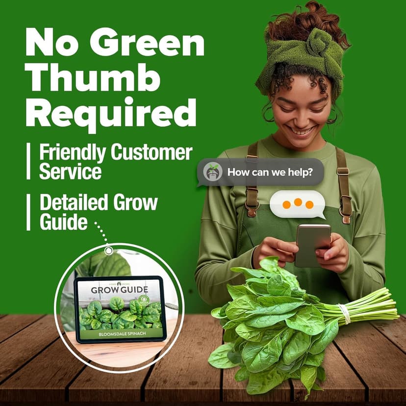 HOME GROWN Bloomsdale Spinach Seeds - 2 Bulk Packs (Spinacia oleracea) – 704 High Germination 𝗡𝗢𝗡-𝗚𝗠𝗢 𝗨𝗦𝗔 Heirloom Spinach Seeds for Planting – Leafy Green Lettuce – for Home Gardens