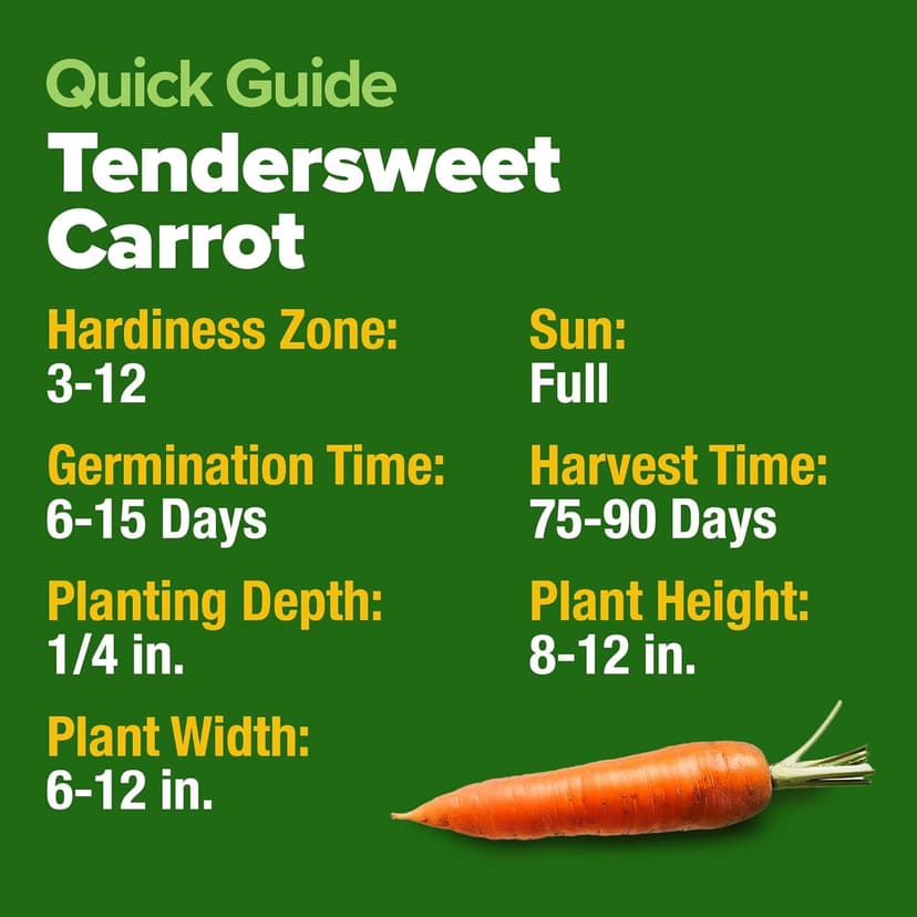 HOME GROWN Tendersweet Carrots Pack (Daucus carota subsp. sativus) - 3000 𝗡𝗢𝗡-𝗚𝗠𝗢 𝗨𝗦𝗔-𝗦𝗢𝗨𝗥𝗖𝗘𝗗 Heirloom Seeds for Planting Outdoors - High-Germination Vegetable for a Lush Garden