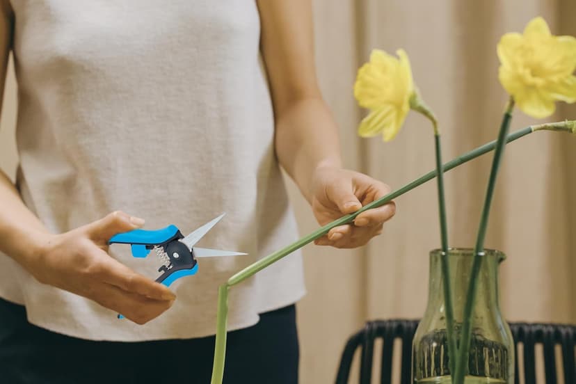 6.5” Gardening Tools Trimmer Pruning Snip, Pruning Scissors with Straight Stainless Steel Precision Blades