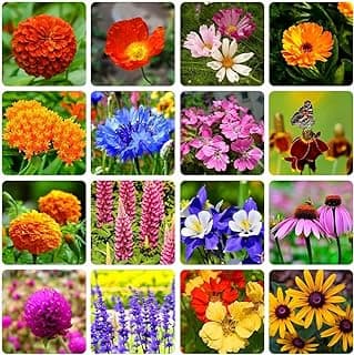 10000+ Perennial Mix Wildflower Seeds 16 Assorted Varieties of Heirloom Flower -1oz Zinnia Poppy Crimson Clover Milkweed Lupine Marigold Mexican Hat Sage Nasturtium