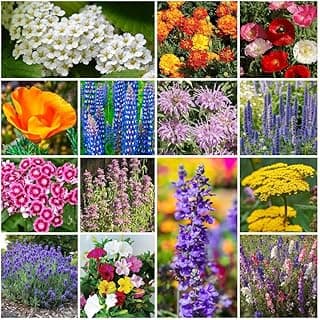 Park Seed Grow Your Own Vibrant Annual and Perennial Wildflower Garden Seed Mixture, Easy to Grow Varieties for Pollinators and Spring Gardens - Deer Resistant Mix, 1/4 lb