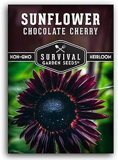 Survival Garden Seeds Chocolate Cherry Sunflower Seed for Planting - Packet with Instructions to Plant & Grow Beautiful Flowers in Your Home Vegetable & Flower Garden - Non-GMO Heirloom Variety (1)