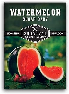 Survival Garden Seeds Sugar Baby Watermelon Seed for Planting - 1 Packet with Instructions to Plant and Grow Little Round Watermelons in Your Home Vegetable Garden - Non-GMO Heirloom Variety