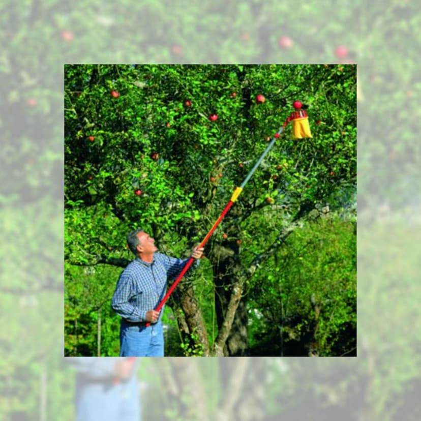 WOLF Garten ZMV3 Multi-Change Telescopic Handle Extends from 170-300cm