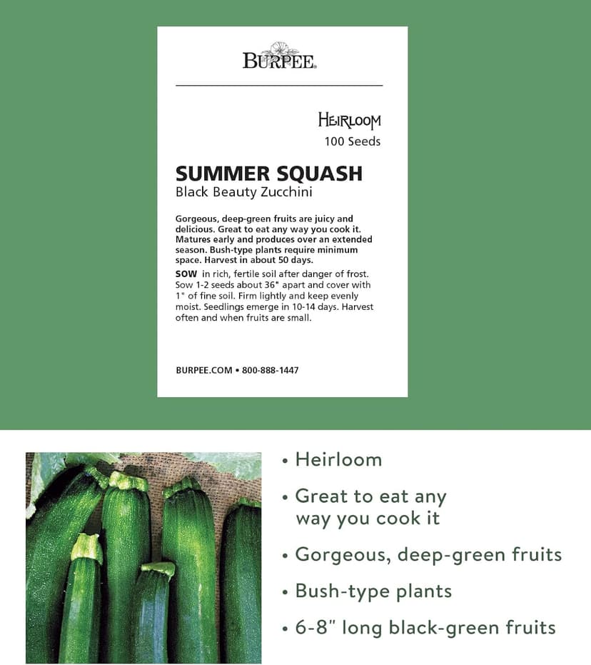 Burpee Black Beauty Zucchini Summer Squash Seeds 100 seeds
