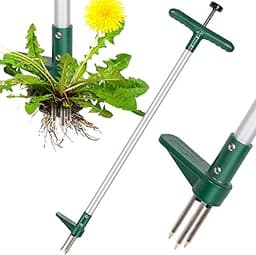 The 13 best claw weeding tools of 2025