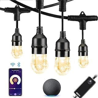 HVS Smart Outdoor String Lights LED 24Ft 12Bulbs Tunable Dimmable Warm White Waterproof Shatterproof Cafe Patio Lights,APP Control 2.4GHZ WiFi Alexa Google Balcony Backyard Porch(3 Core Wire, WW-24FT)