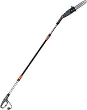 Scotts Outdoor Power Tools PS45010S 10-Inch 8-Amp Corded Electric Pole Saw, Adjustable Head & Oregon Bar and Chain