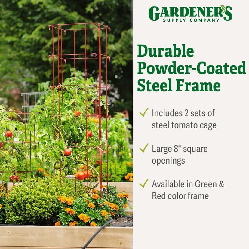 Gardener’s Supply Company Extra Tall Heavy-Guage Square Tomato Cages | Easy Fold Plant Supports & Vegetable Garden Stakes | 14.25" x 14.25" x 65" - Red (Set of 2)