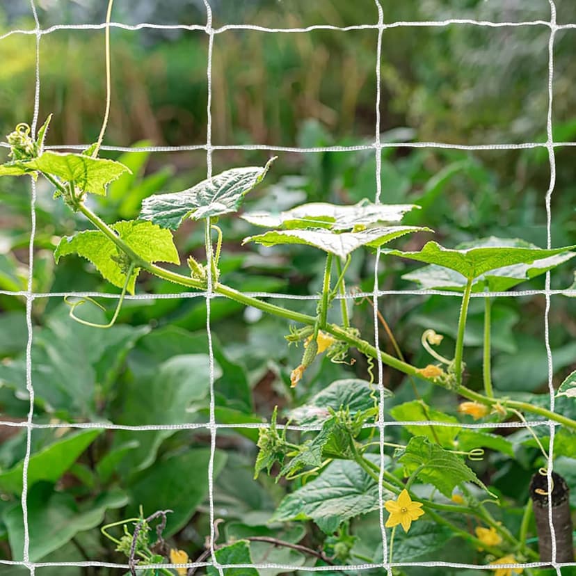 Tcamp Heavy-Duty Polyester Garden Trellis Netting Plant Climbing Net for Growing Vines Plants Vegetables Fruits Flowers, White Grow Tent (4.9Ft x15Ft, 3.5" Opening Mesh, 1 Pack Plant Net)