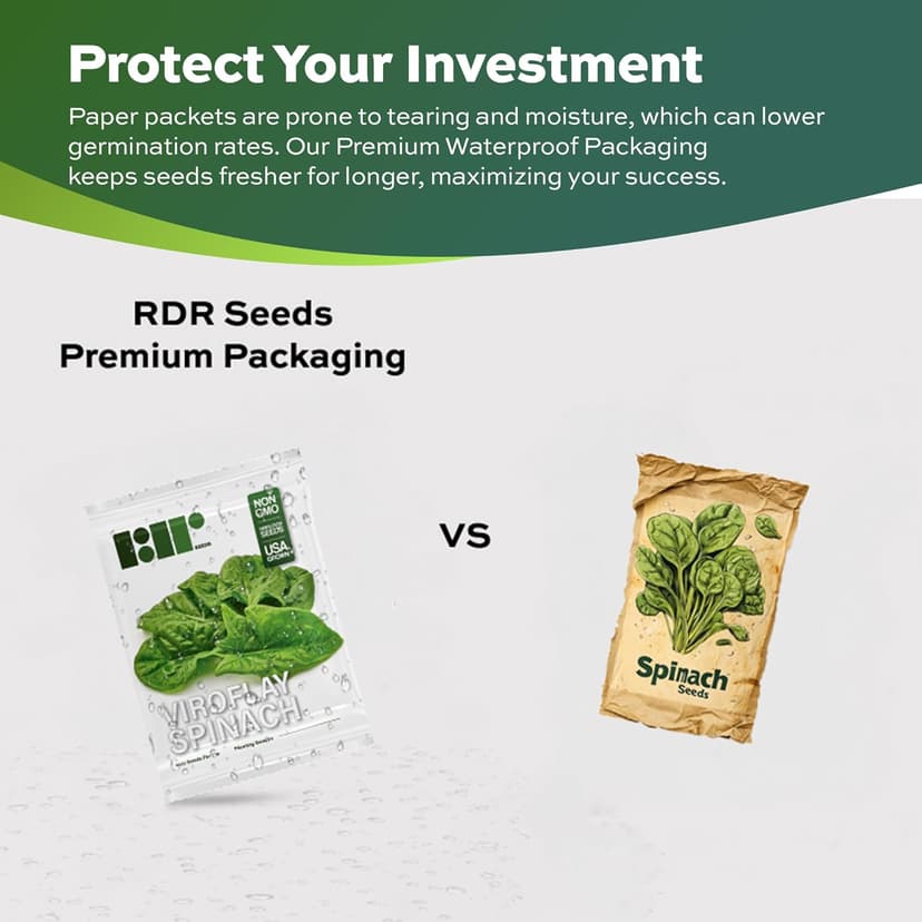Heirloom Viroflay Spinach Seeds for Planting - 500 Seeds - Heirloom, Non-GMO, USA Grown, Premium Waterproof Protective Packaging by RDR Seeds