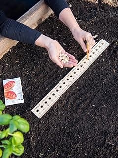 Gardener's Supply Company Planting Ruler and Dibber | Wooden Plant Seed Spacing for Outdoor Raised Bed Gardening and Vegetable Gardens | 20-1/2"L and is 2"W x 1/2" Thick