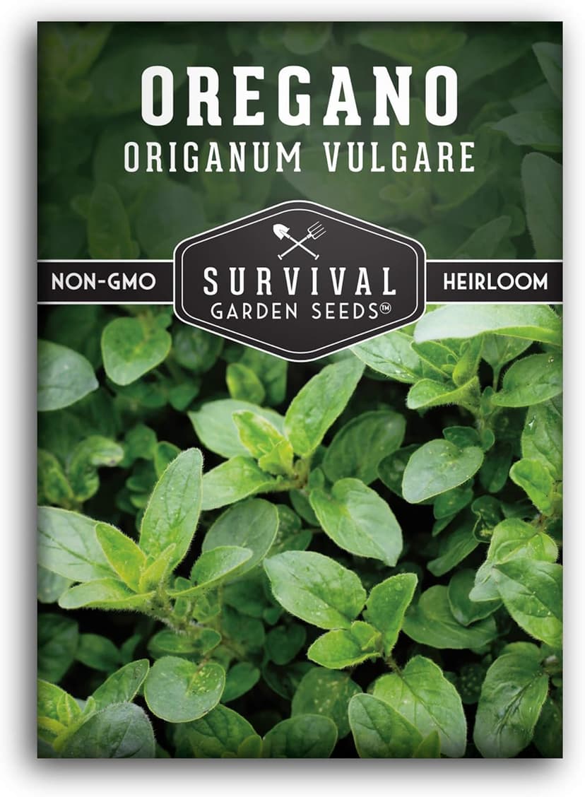 1 Pack Oregano Seed for Planting - Packet with Instructions to Grow in Origanum Vulgare Herbs Your Home Vegetable Garden - Non-GMO Heirloom Variety - Survival Garden Seeds