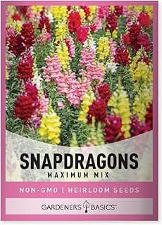 Gardeners Basics, Snapdragon Seeds for Planting (Maximum Mix Snap Dragon) Annual Flower Heirloom, Non-GMO Variety- 400mg Seeds Great for Summer Seeds for Gardening Flowers Gardens