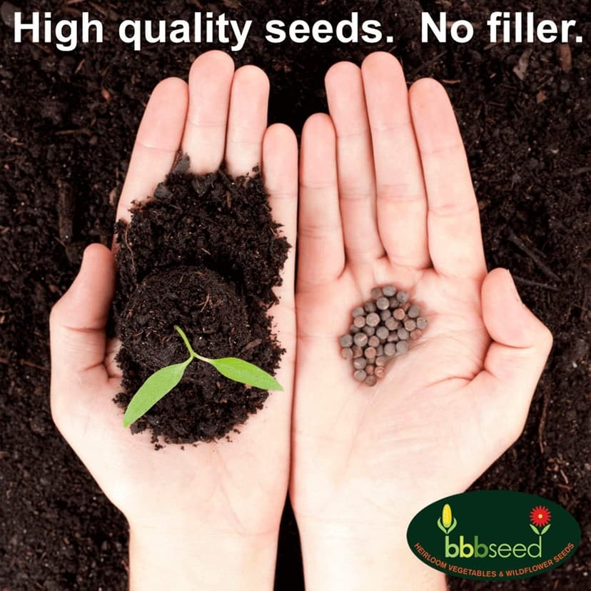 Drought Tolerant Wildflower Seeds - 4oz, Open-Pollinated Bulk Flower Seed Mix for Beautiful Perennial, Annual Garden Flowers - No Fillers - 4 oz Packet