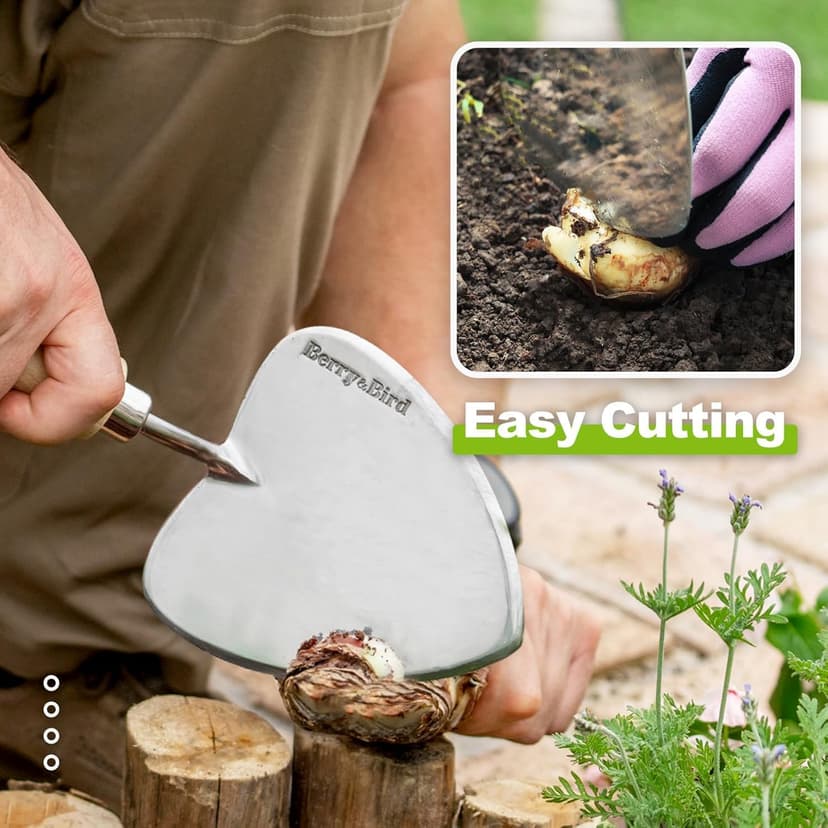 Perennial Trowel, Oversized Garden Potting Trowel with Sharp Blade Wood Hand Shovel, Stainless Steel Planting Trowel Gardening Tool for Roots,Planting,Digging,Transplanting and Cutting