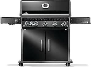 The 10 best gas grills with infrared burners of 2025