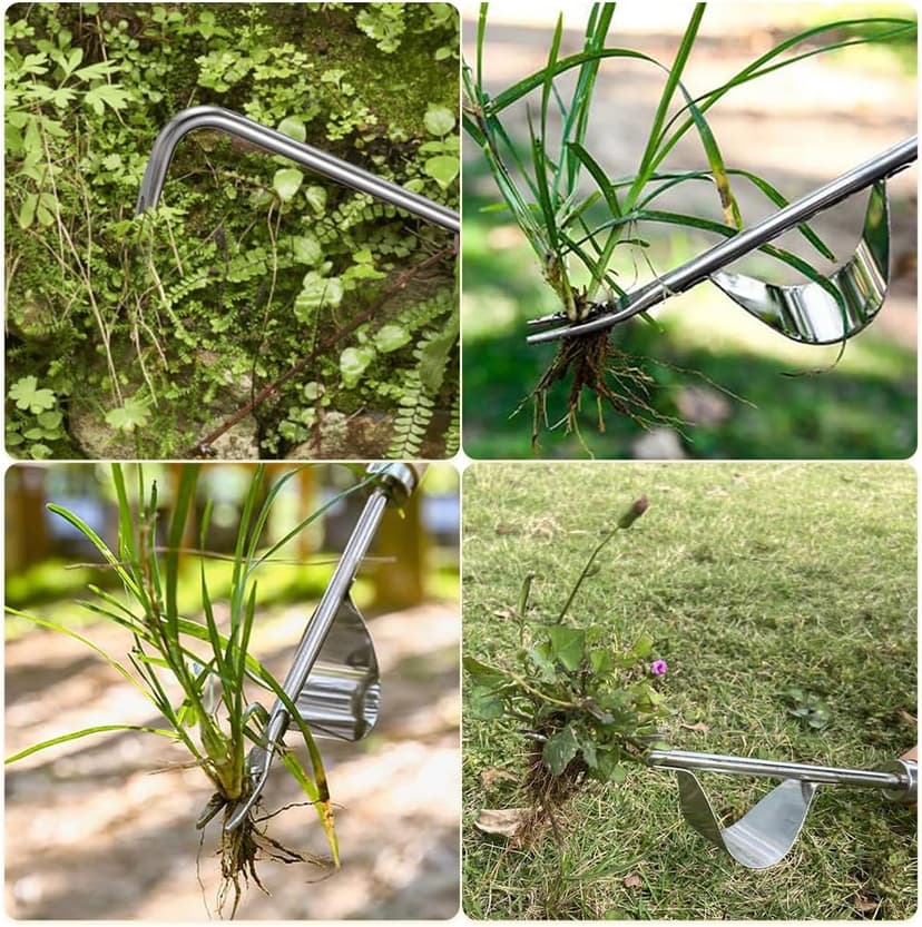 Hand Dibber, Stainless Steel Sow Dibbler with Wood Handle, Garden Hole Punch Dibbler Tool for Planting Seeds & Bulbs (Medium Log Color Hooked)
