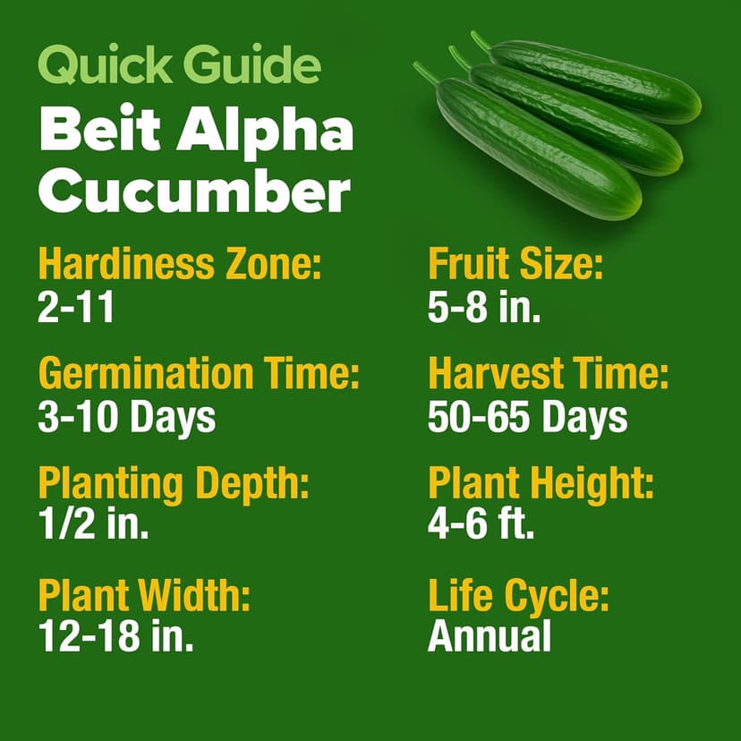 HOME GROWN Persian Cucumber Seeds – 50+ Heirloom Non-GMO, High-Yielding Beit Alpha Variety | Fast Growing, Sweet Tender Skin, Home Vegetable Garden Seeds (Cucumis sativus)