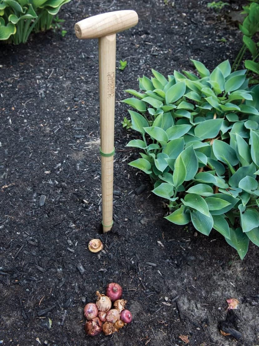 Gardener's Supply Company | Wicked Big Garden Dibber | 30 Inch Extra Large Ergonomic T-Handle | Wooden Gardening Bulb Planter, Hole Puncher, Seed Dibbler