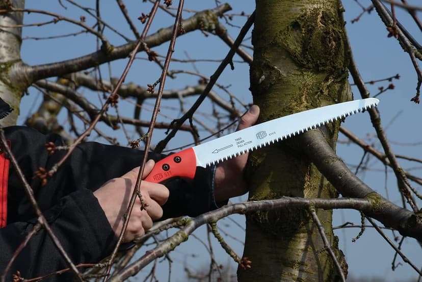 FELCO Pruning Saw (F 611) - Classic Tree Pull Stroke Pruner Saw w/ Carrying Sheath