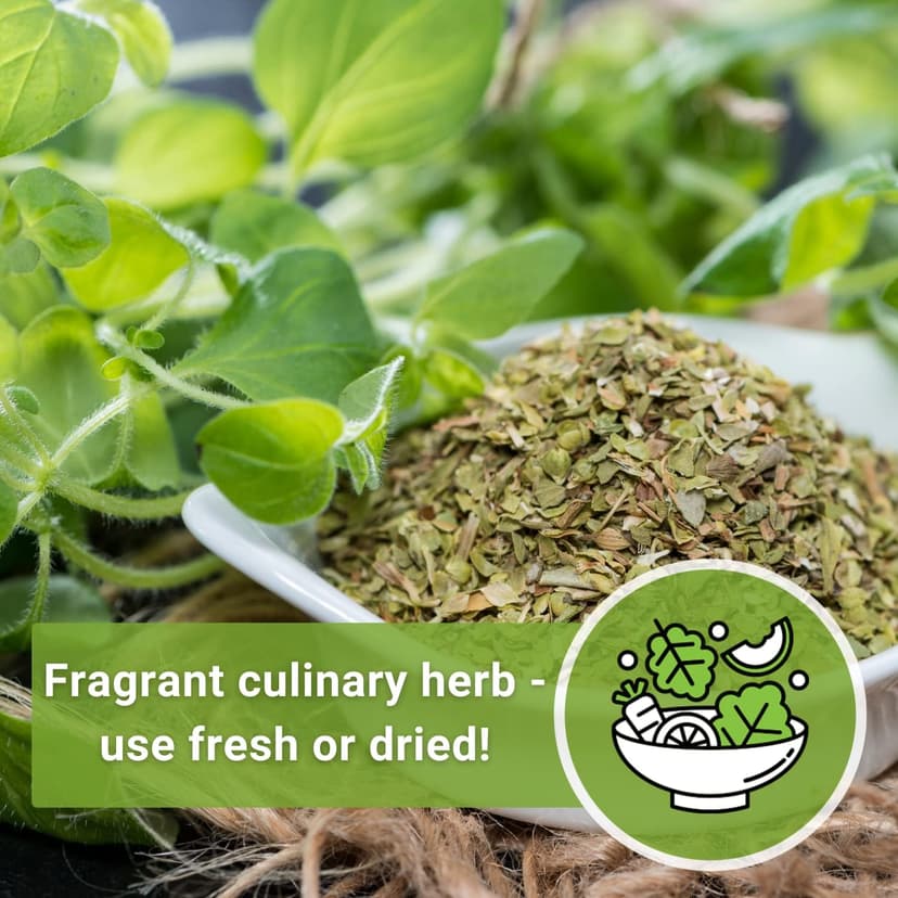 Sow Right Seeds - Oregano Seed for Planting - Non-GMO Heirloom- Instructions to Plant and Grow a Kitchen Herb Garden - Indoor or Outdoor - Gardening Gift - Produces Flavorful Leaves for Seasoning (1)