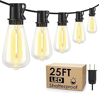 25FT Outdoor String Lights, Patio Lights with 10+1 LED Dimmable Waterproof Shatterproof ST38 Retro Edison 2700K Bulbs for Balcony Yard, Black