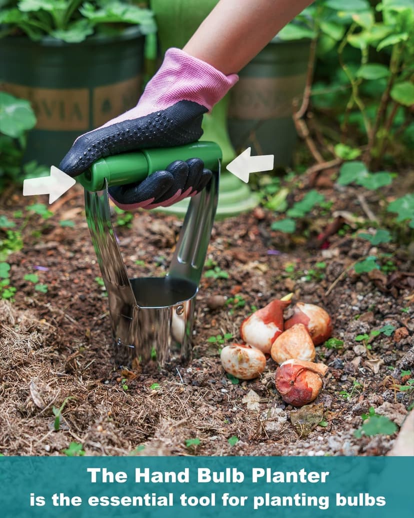 Bulb Planter Tool with Release Button&4Inch Measurements Tulip Planting Tool Bulb Transplanter Bulb Digger for Removing Soil and Planting Bulbs or Other Small Plants in Pots and Flowerbeds