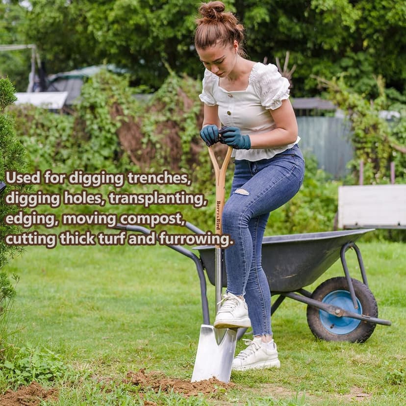 Garden Digging Spade, 41" Stainless Steel Square Border Spade, Heavy Duty European Shovel with D-Grip Handle, Traditional English Style Flat Shovel for Digging, Yard Work, Transplanting